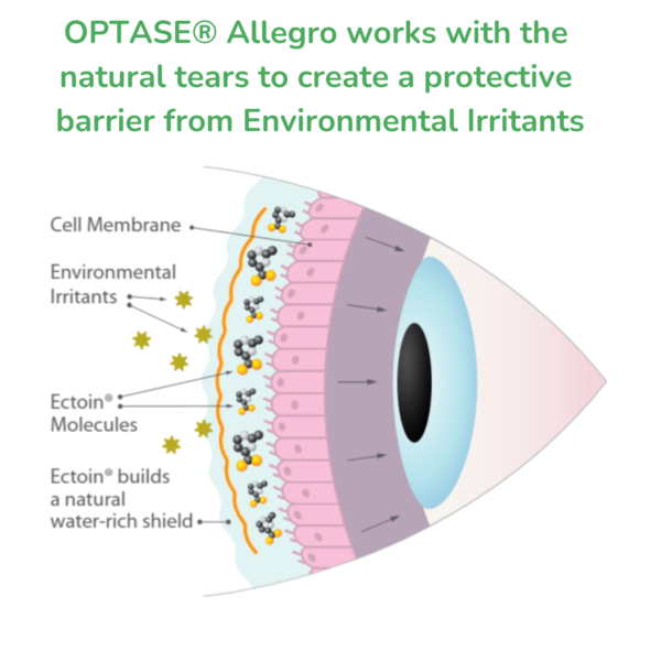 Updated Allegro Image for Optase