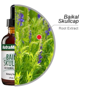 Baikal Skullcap NutraMedix Ingredients
