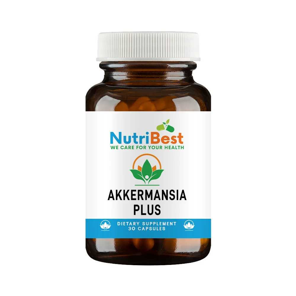 Akkermansia Plus 1 Akkermansia Plus